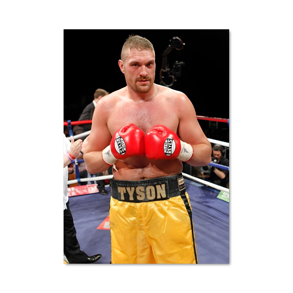 Poster Tyson de fury